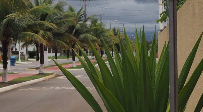 Pamela Seppa assume a transição até a eleição da nova Diretoria do residencial Belize