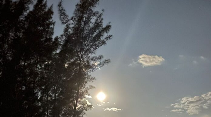 Espetáculo da natureza