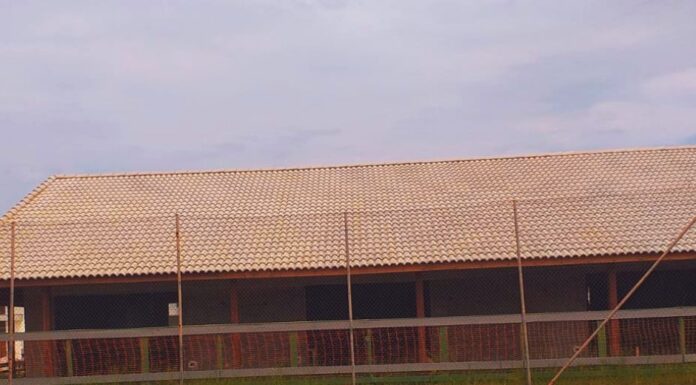 Ações mensais da Diretoria em novembro de 2022